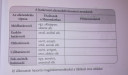 S O S Magyar nyelv - határozói alárendelő ossz mondatok  – feladat kép 2