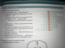 Segitetek? – feladat kép 1