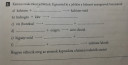 SOS SEGÍTSÉG KÉMIA  – feladat kép 1