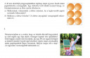 Matek térgeometria SOS 12. Évfolyam – feladat kép 1