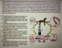 Biológia – feladat kép 1