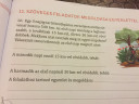 Szöveges feladatok megoldása egyenlettel – feladat kép 1