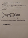 Biológia – feladat kép 1