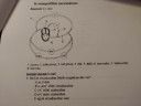 Biológia – feladat kép 1