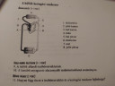 Biológia – feladat kép 1