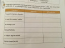Csatoltam képet (kőszívű ember fiai) SOS – feladat kép 2