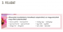 Help! összetételek helyesírása  – feladat kép 3