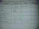 Rendszerezd az alábbi táblázatot – feladat kép 1